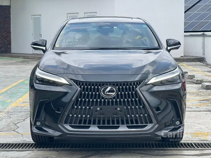 2022 Lexus NX250 Luxury SUV