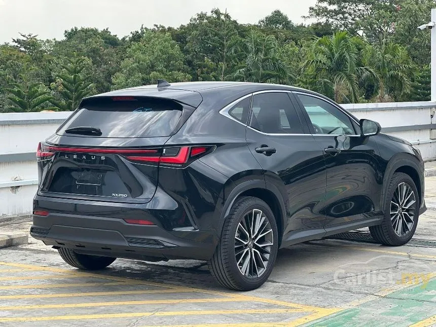 2022 Lexus NX250 Luxury SUV