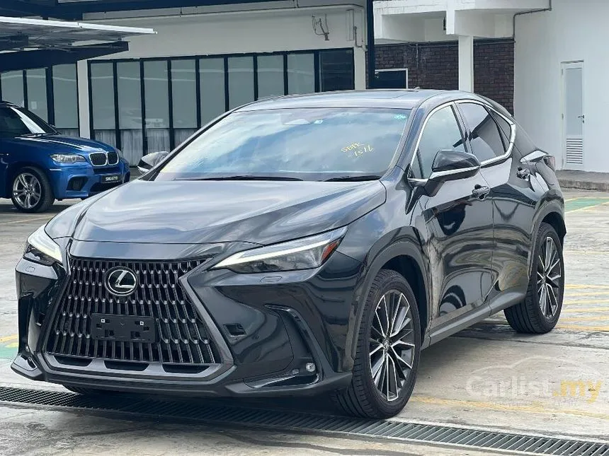 2022 Lexus NX250 Luxury SUV