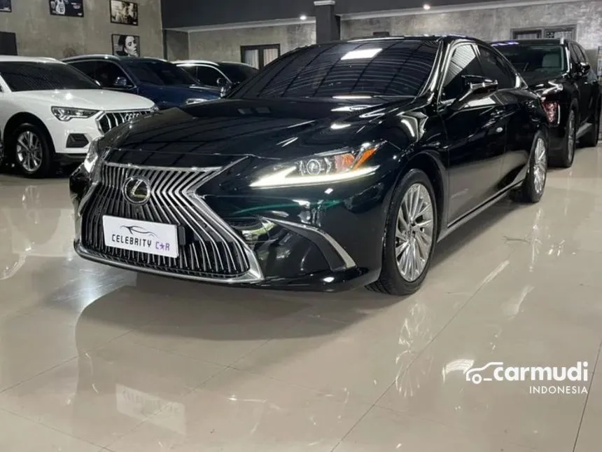 2019 Lexus ES250 Ultra Luxury Sedan
