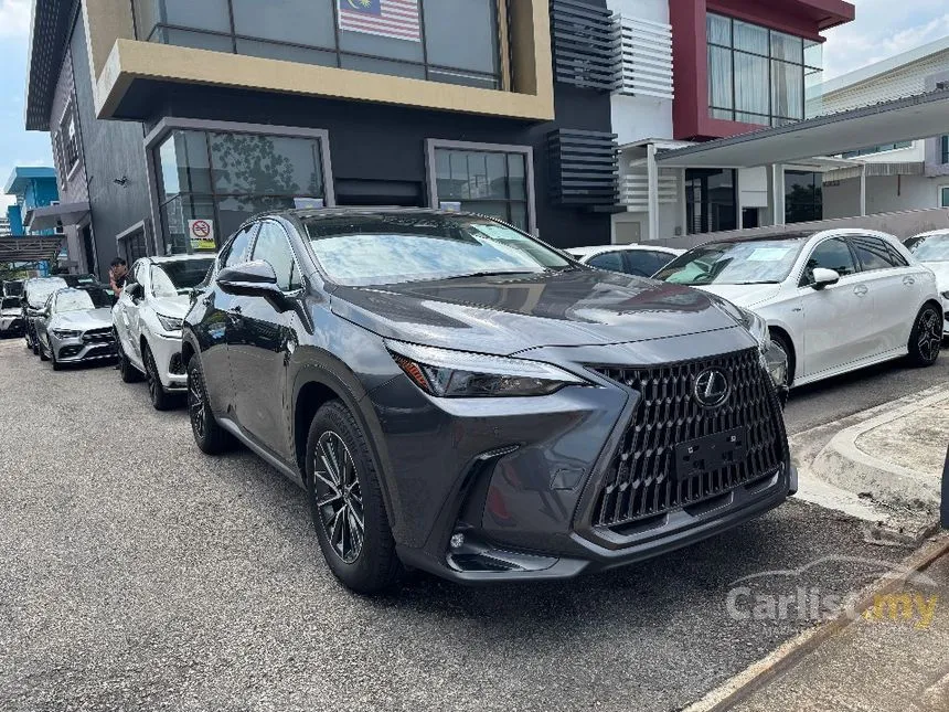 2023 Lexus NX 250 Luxury SUV