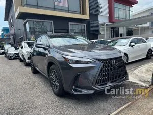 2023 Lexus NX 250 2.5 Luxury SUV