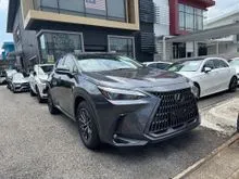 2023 Lexus NX 250 2.5 4camera READY STOCK