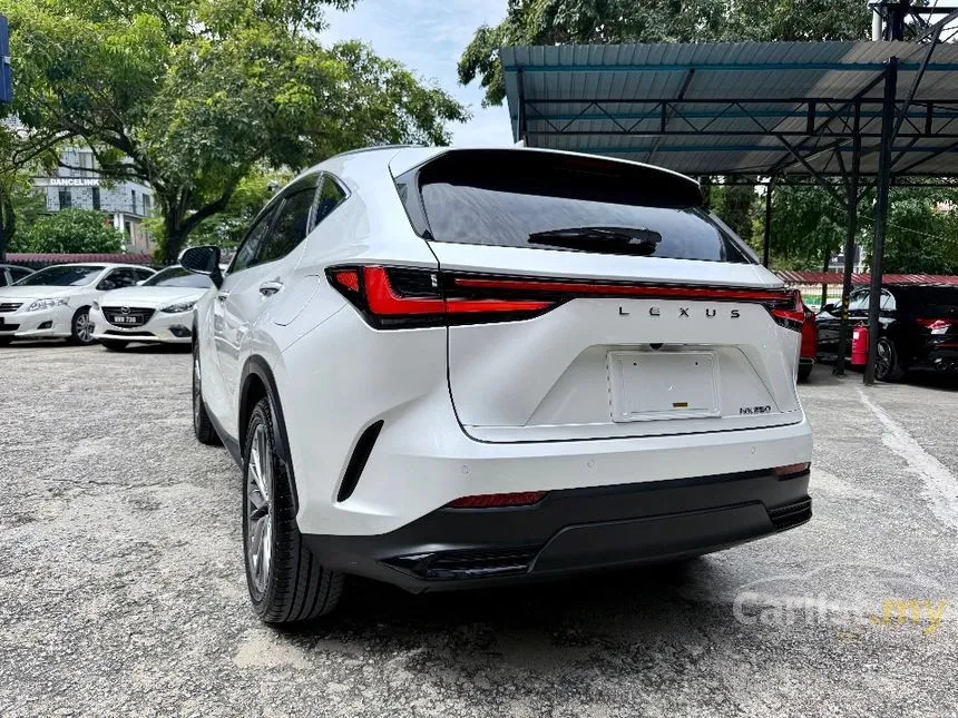 2023 Lexus NX250 SUV