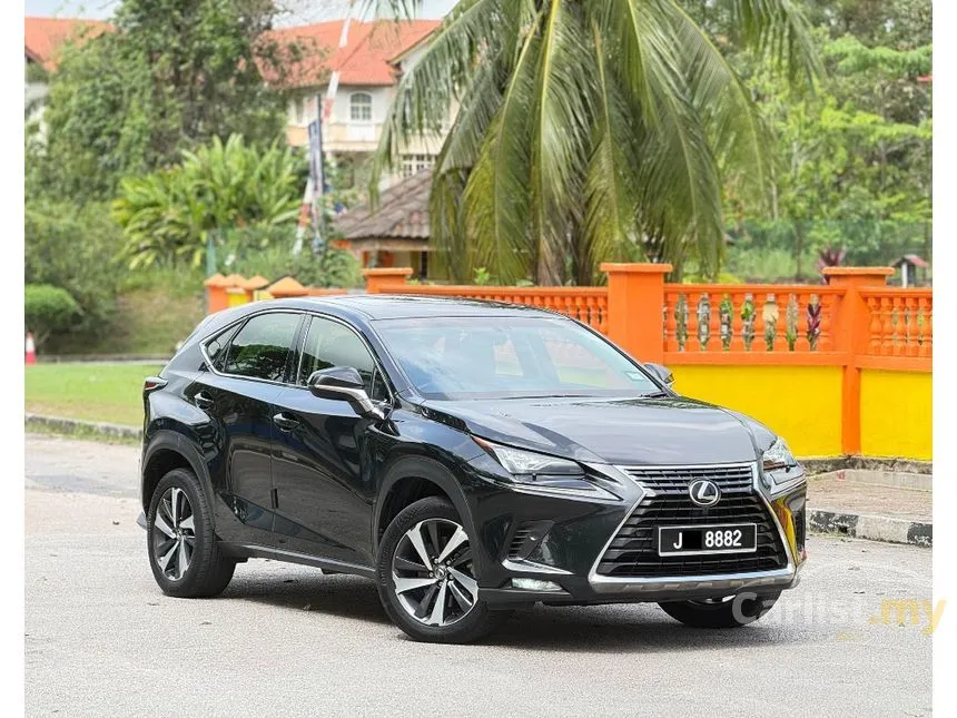 2018 Lexus NX 300 Premium SUV