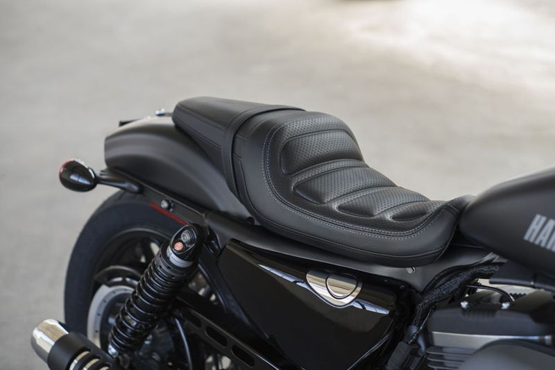 Harley-Davidson Roadster Dark Custom Menyatukan Pengendara dengan Jalan 3