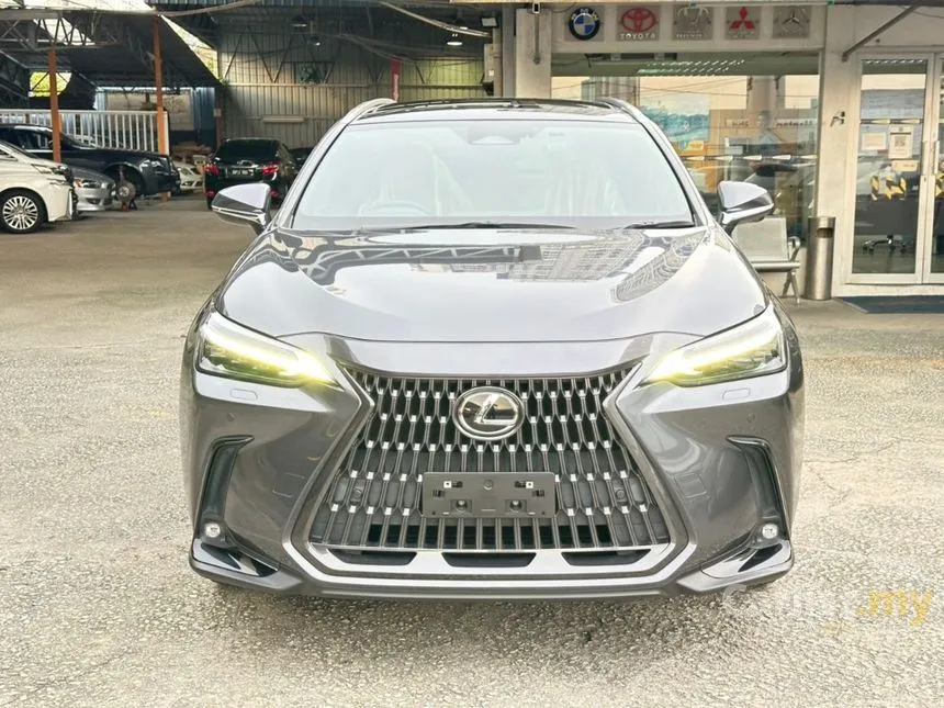 2022 Lexus NX 250 Luxury SUV
