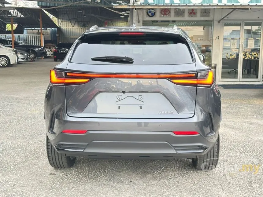 2022 Lexus NX 250 Luxury SUV