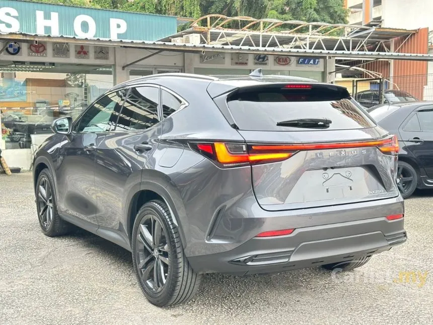 2022 Lexus NX 250 Luxury SUV