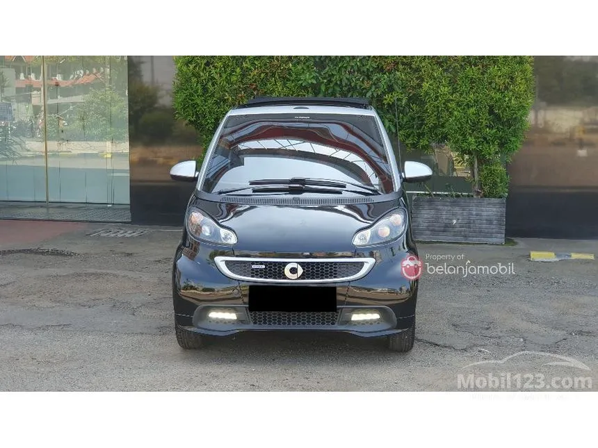 2013 smart fortwo MHD Edition Micro car