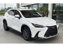 2023 Lexus NX 250 2.5 Luxury No Sunroof 5A Grade Full Spec