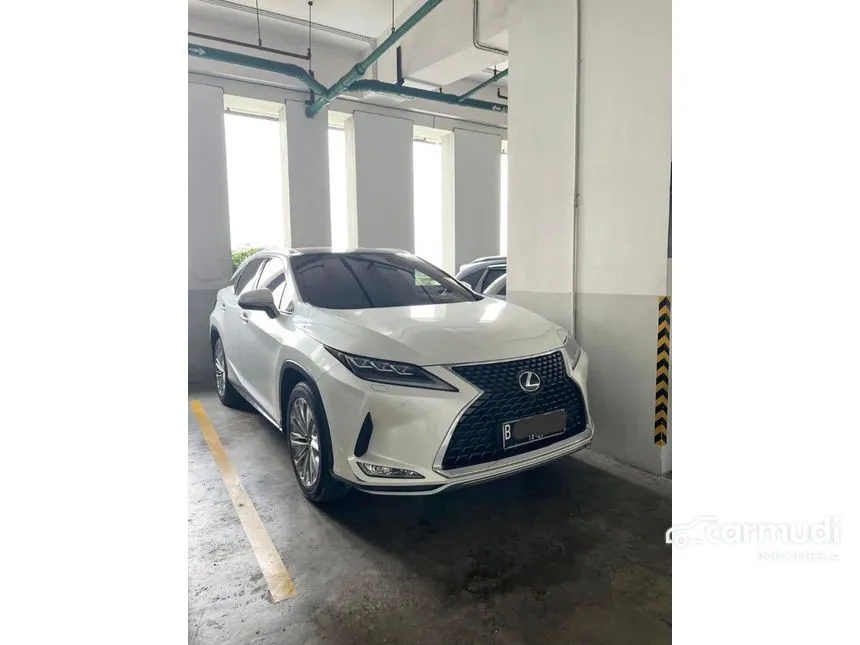 2020 Lexus RX 300 Luxury SUV