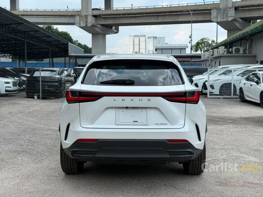 2023 Lexus NX 250 SUV