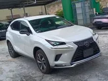 2021 Lexus NX 300 2.0 F Sport SPICE n CHIC