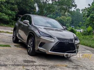 2020 Lexus NX 300 2.0 F Sport SUV