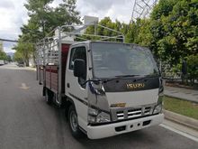 Isuzu Hino Nissan Fuso 13ft wooden cargo /Year Register 2019