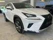 Recon 2019 Lexus NX300 2.0 I PACKAGE/RED LEATHER SIT/2 CAMERA