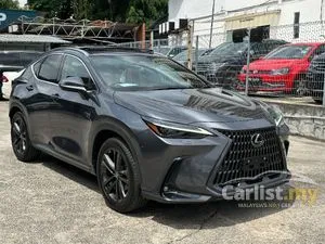 2022 Lexus NX 250 2.5 Luxury SUV