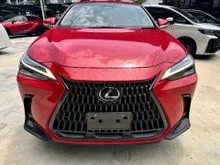 2023 Lexus NX 250 2.5 Luxury SUV