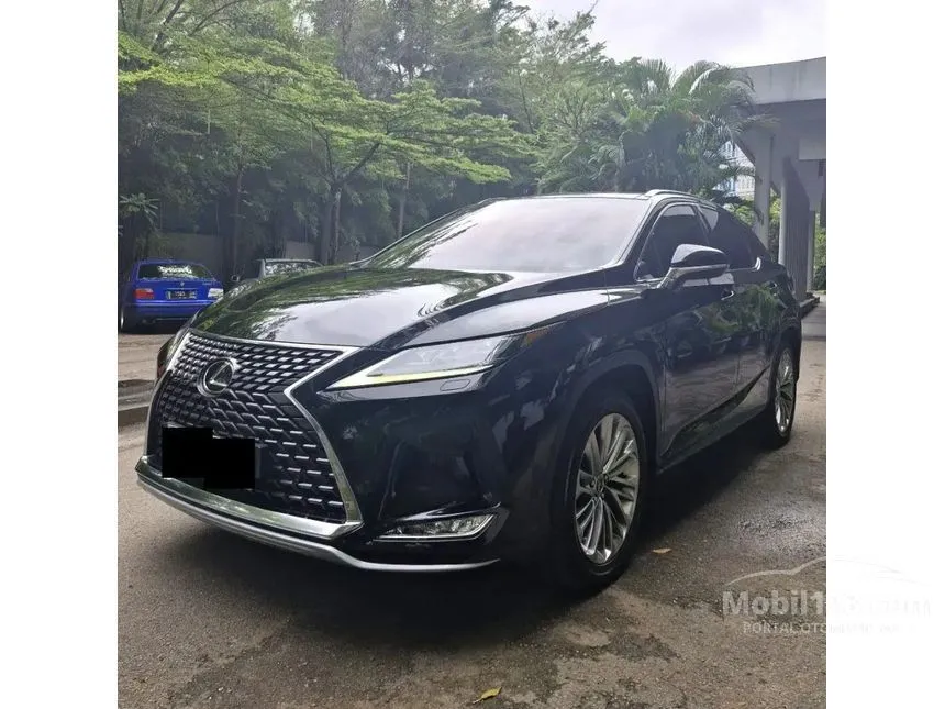 2020 Lexus RX 300 Luxury SUV