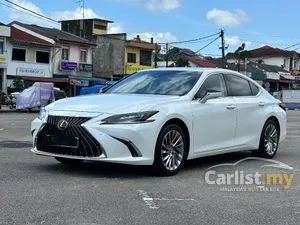 2023 Lexus ES 250 2.5 Luxury Sedan