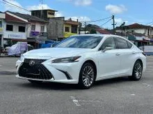2023 Lexus ES 250 2.5 Luxury Sedan