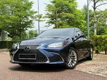 2019 Lexus ES 250 2.5 Luxury Sedan