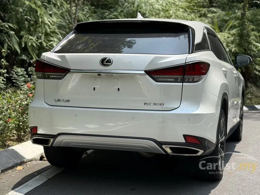 2022 Lexus RX 300 Luxury SUV