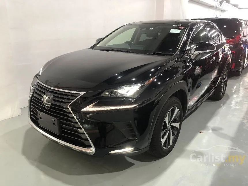 2020 Lexus NX300 Premium SUV