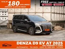2025 Denza D9 0.0 Advanced MPV
