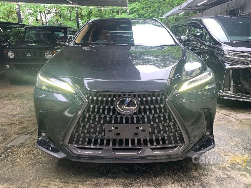 2022 Lexus NX 250 Luxury SUV