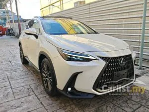 2023 Lexus NX 250 2.5 SUV