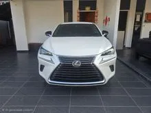 2018 Lexus NX 300 2.0 Premium SUV