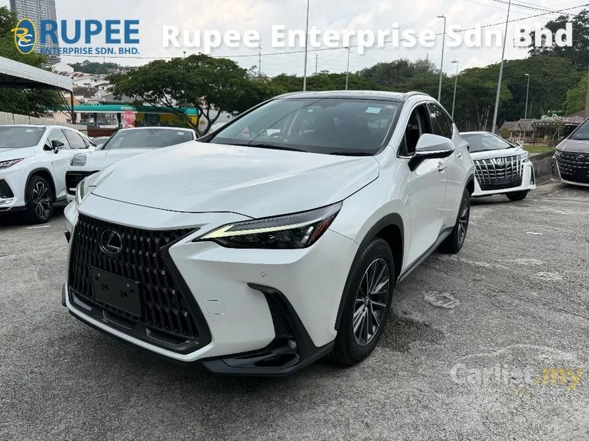 2023 Lexus NX 250 Luxury SUV