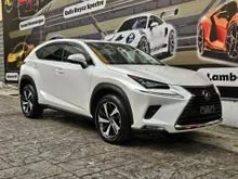 2021 Lexus NX 300 2.0 I Package Premium SUV [14k KM, RED INTERIOR, SUNROOF, 360 CAMERA]