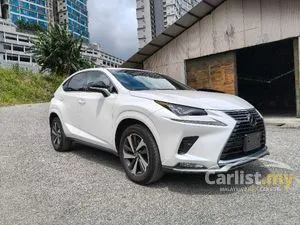 2020 Lexus NX 300 2.0 Premium SUV