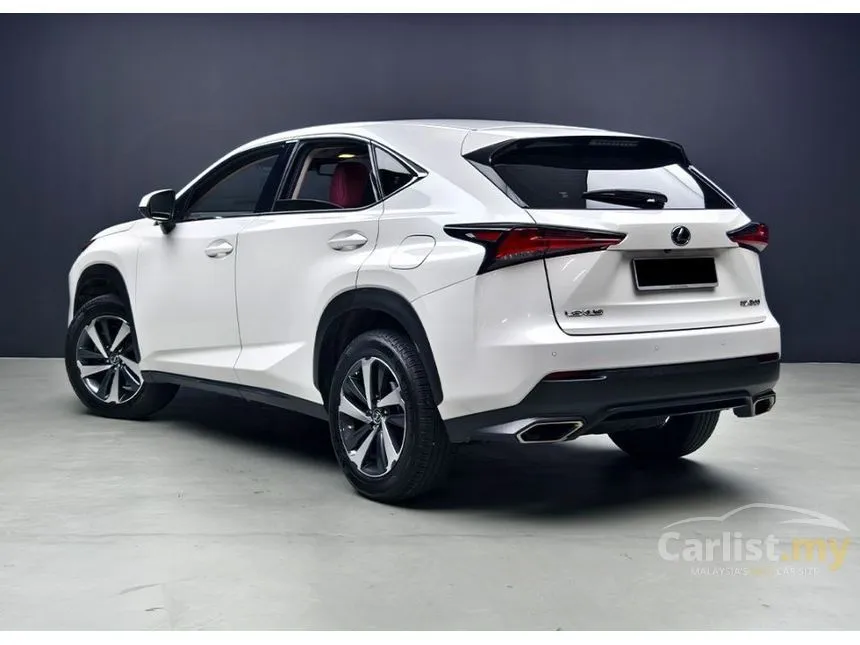 2020 Lexus NX 300 Premium SUV