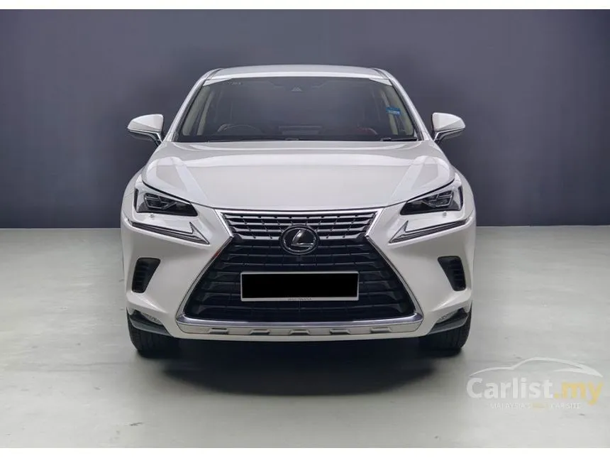 2020 Lexus NX 300 Premium SUV