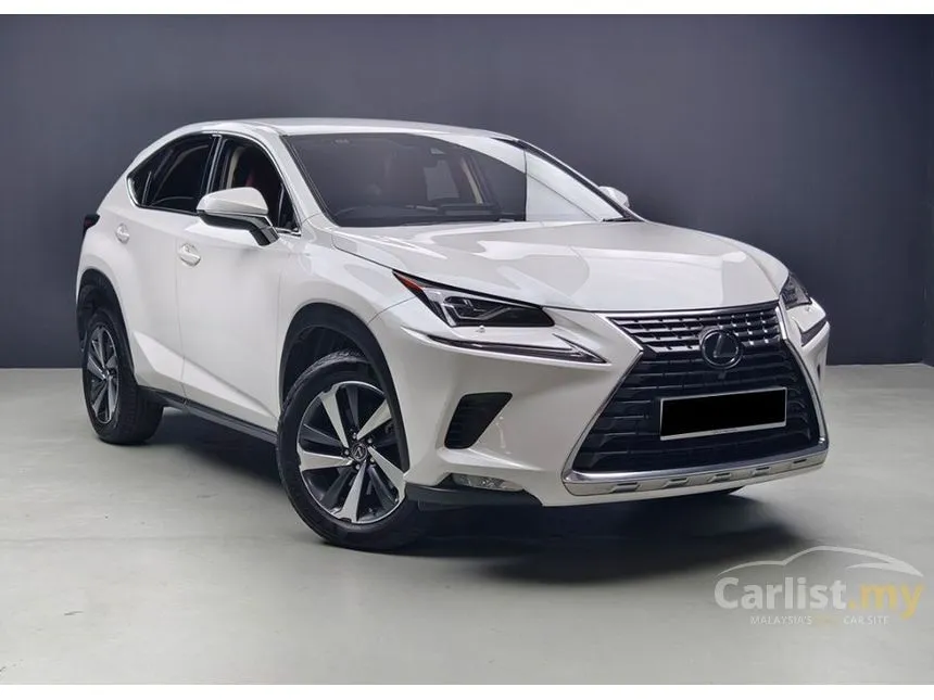 2020 Lexus NX 300 Premium SUV