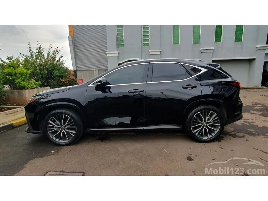 2023 Lexus NX 250 Luxury SUV