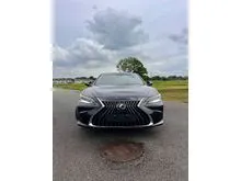 2023 Lexus ES 250 2.5 Luxury Sedan