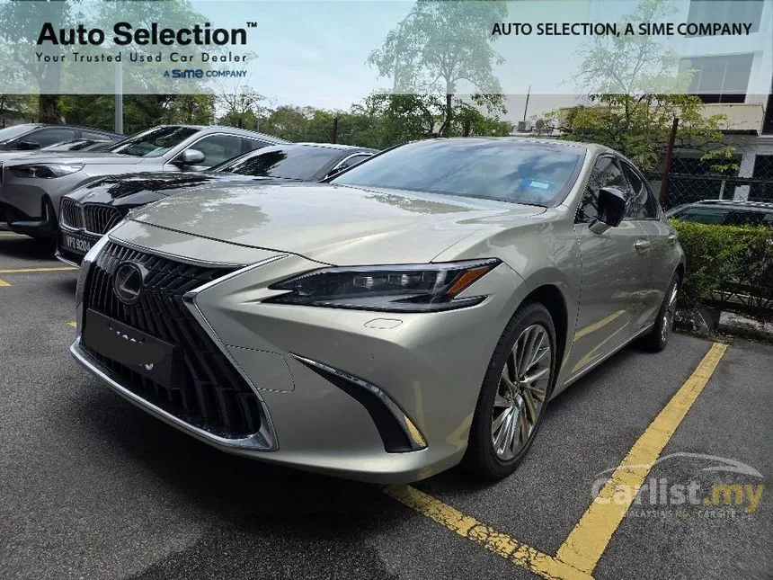 2022 Lexus ES 250 Luxury Sedan