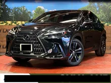 2023 Lexus NX 250 2.5 Version L, Sunroof, Genuine 14-inch Navigation System, Panoramic View Monitor, Leather Seats, Power Rear Gate, INCOMING STOCK