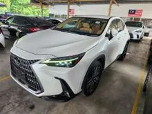 2023 Lexus NX 250 2.5 VL lsbrown 4led 20 2ms