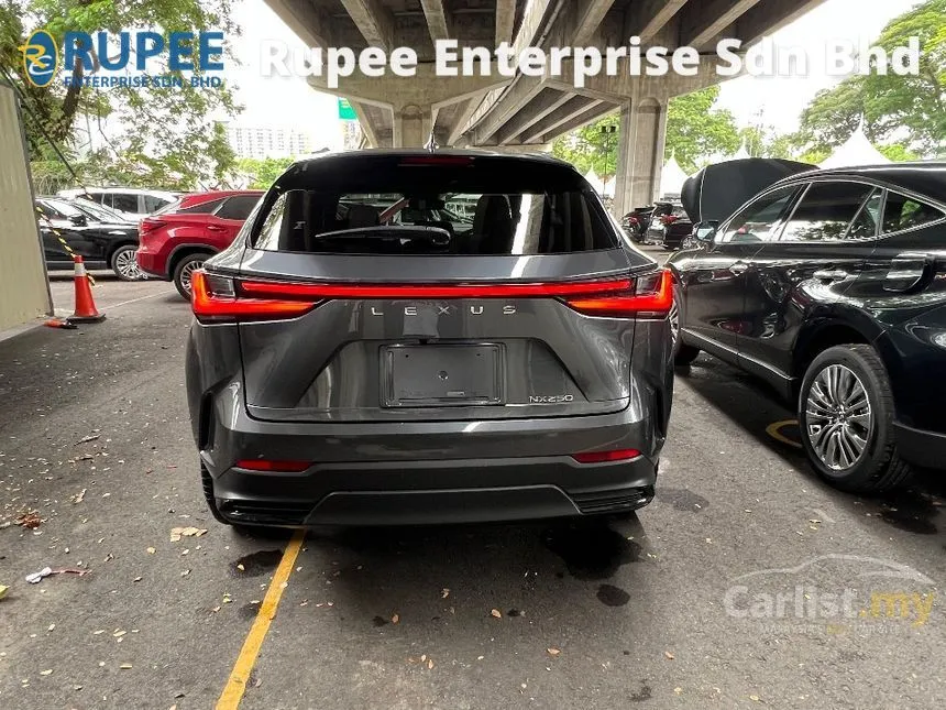 2023 Lexus NX 250 Luxury SUV
