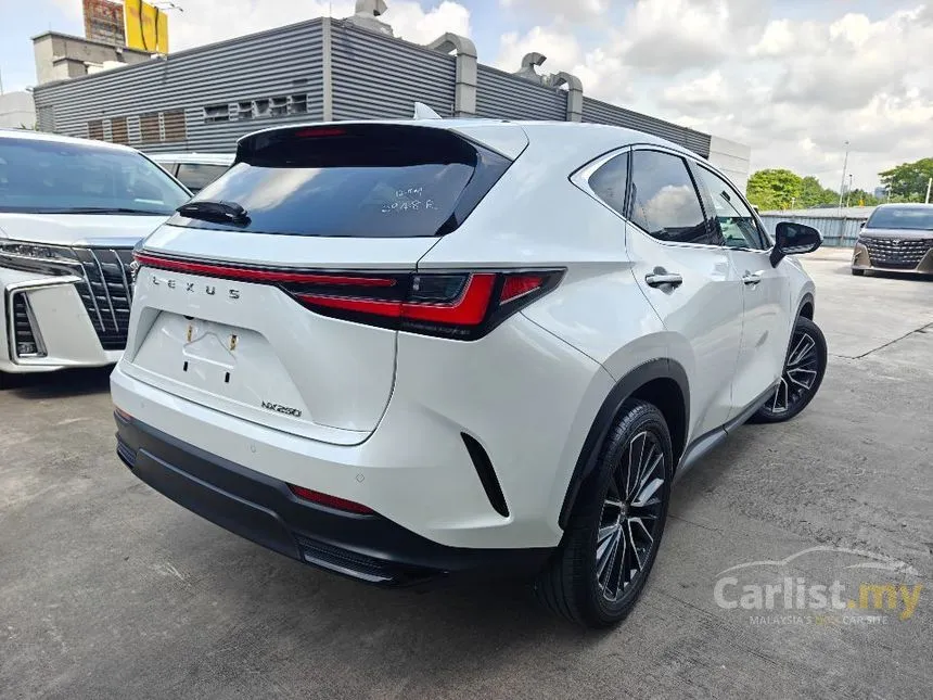 2023 Lexus NX 250 Luxury SUV