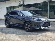 2021 Lexus NX 300 2.0 F Sport SUV