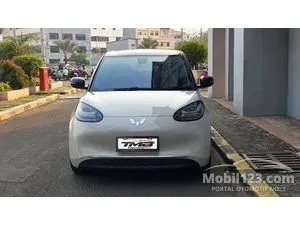2024 Wuling Binguo EV 410 Premium Range AC/DC Hatchback