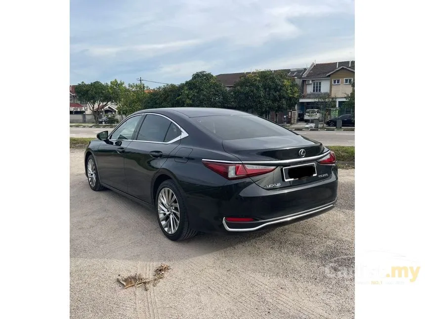 2024 Lexus ES 250 Luxury Sedan