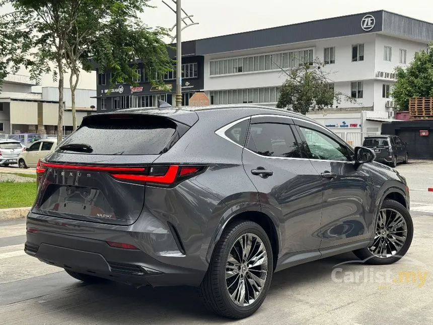 2023 Lexus NX 250 Luxury SUV
